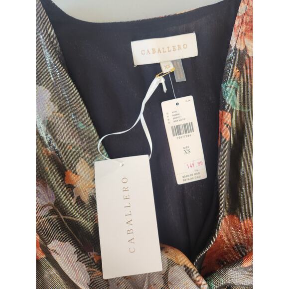 NWT Caballero Anthropologie Deep V-Neck Maxi Floral Dress Size XS - Picture 10 of 14